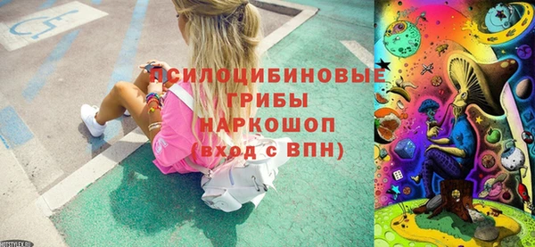 амф Богданович