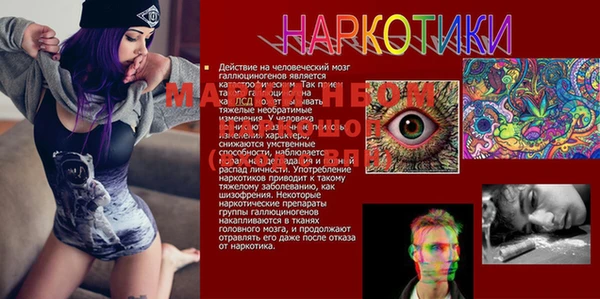 jwh Богородицк