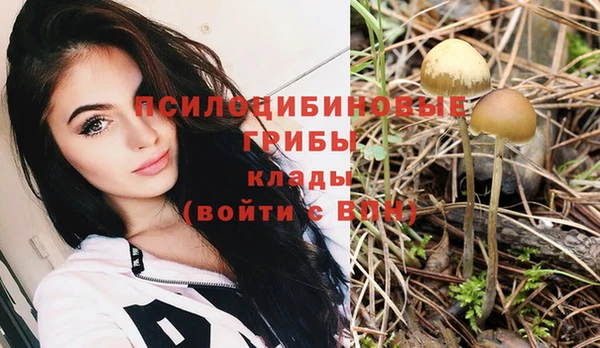 jwh Богородицк