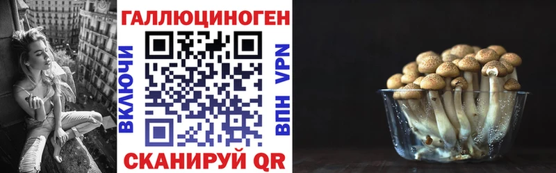 Галлюциногенные грибы Psilocybe  мега ТОР  Морозовск  цена  